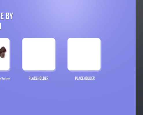 JustinH VirtualHistology 2