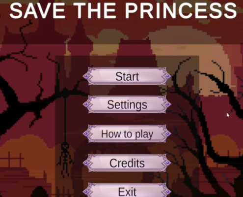 save the princess 1